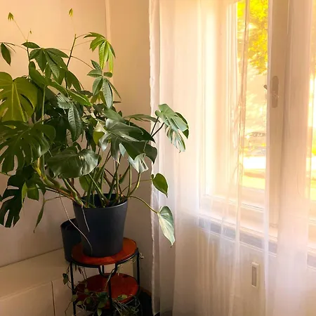 Free Parking - Premium Bed - Modern Kitchen Appartement