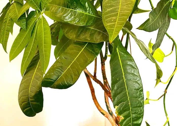 Appartement Free Parking - Premium Bed - Modern Kitchen *