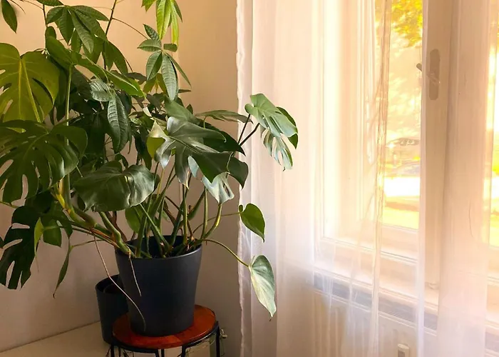 Free Parking - Premium Bed - Modern Kitchen شقة